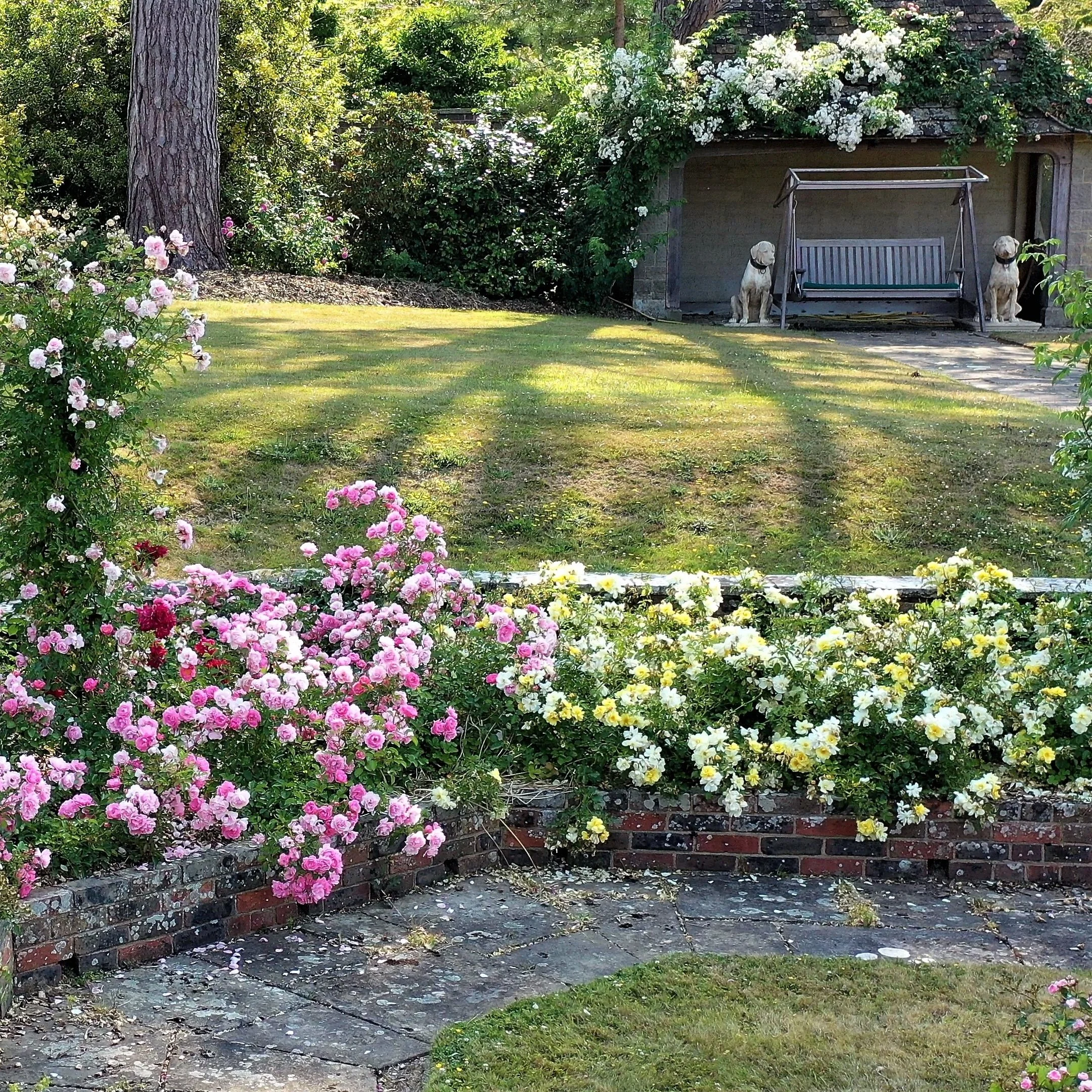 #heaselandsphotolocation
#heaselandsestate
#photolocation
#filmfriendly
#fashionlocation
#woodlandlocation
#luxurybrands
#englishcountryestate
#location
#locationlocationlocation
#locationphotography
#videolocation
#filmlocation
#onlocation
#location