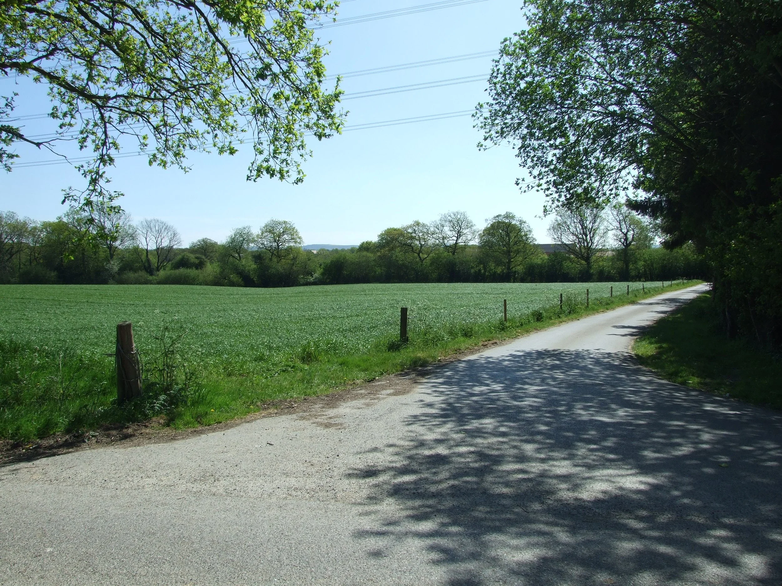 Farm Tracks (3).JPG