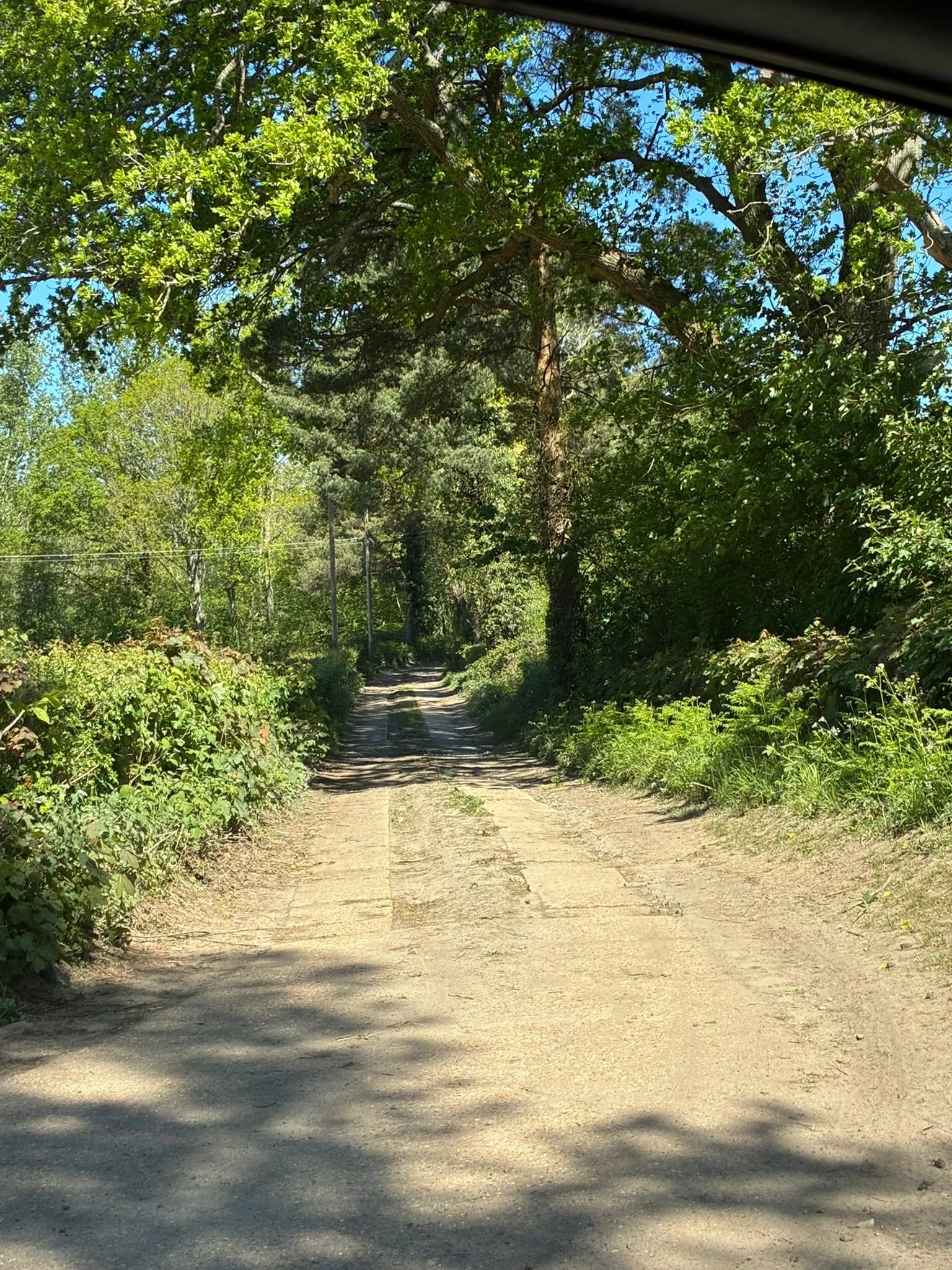 Upper ridges track (1).jpeg