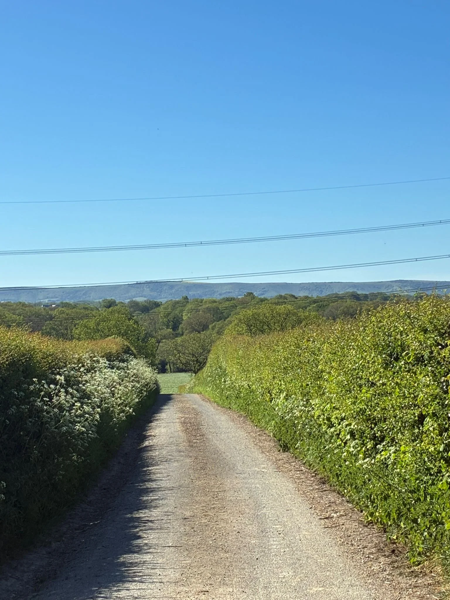 Brooklands towards valewood pond (1).jpeg