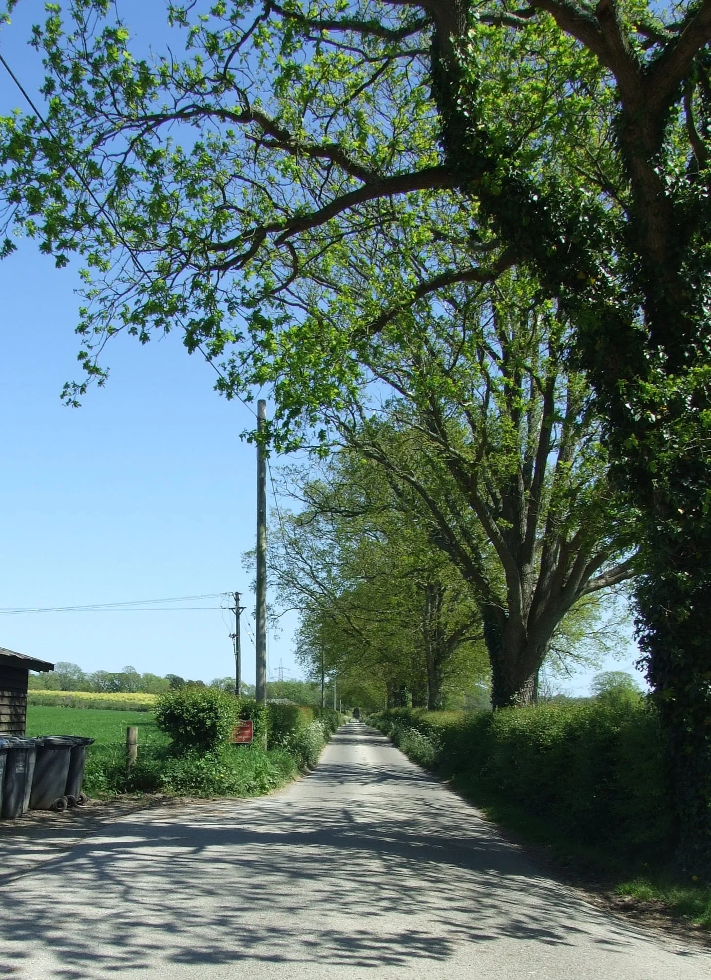 Farm Tracks (1).JPG