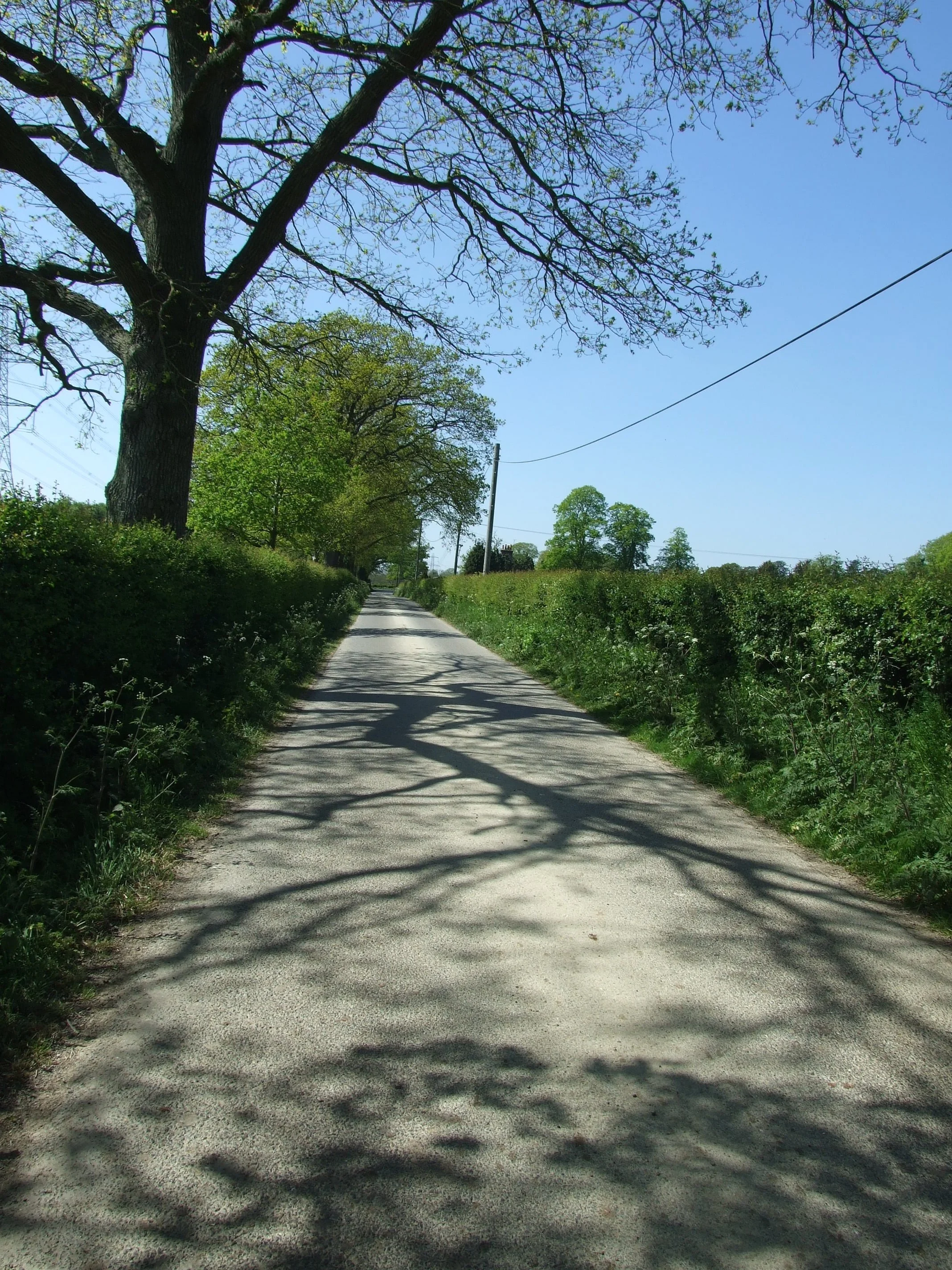 Farm Tracks (4).JPG