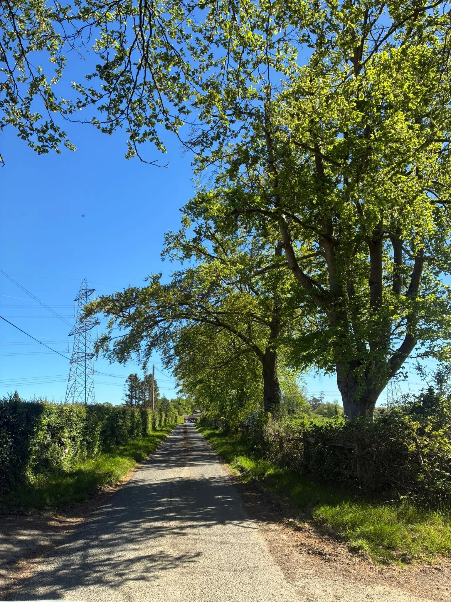Lyes farm drive (4).jpeg
