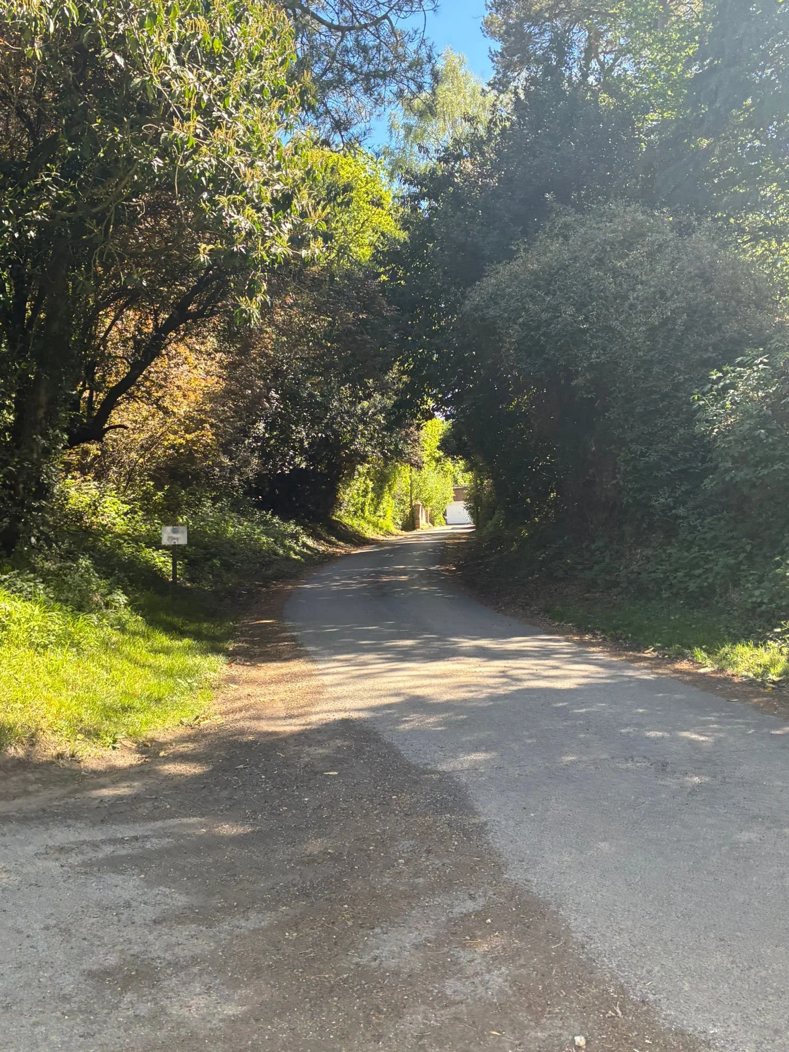 Moonhill drive (5).jpeg