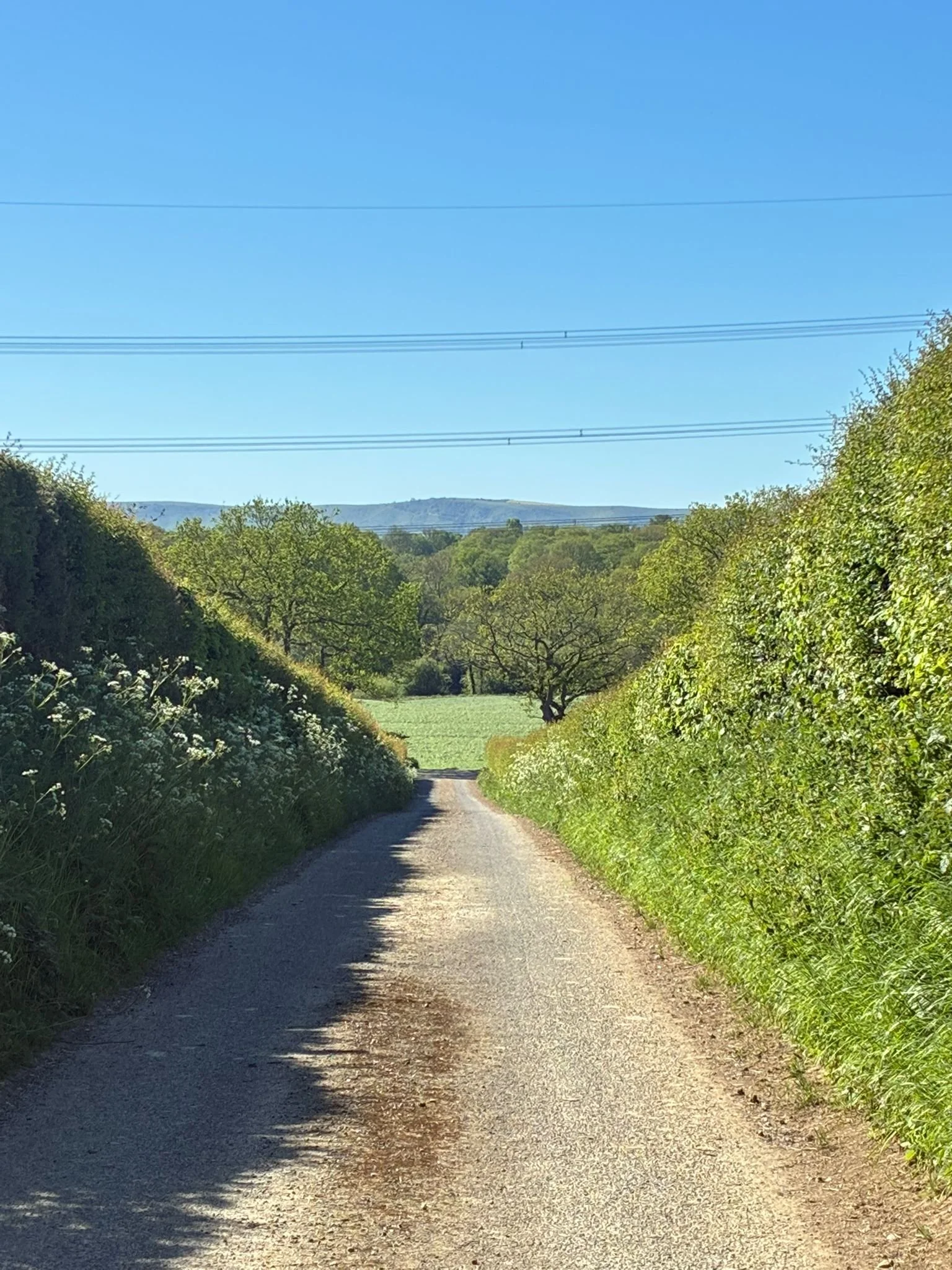 Brooklands towards valewood pond (4).jpeg