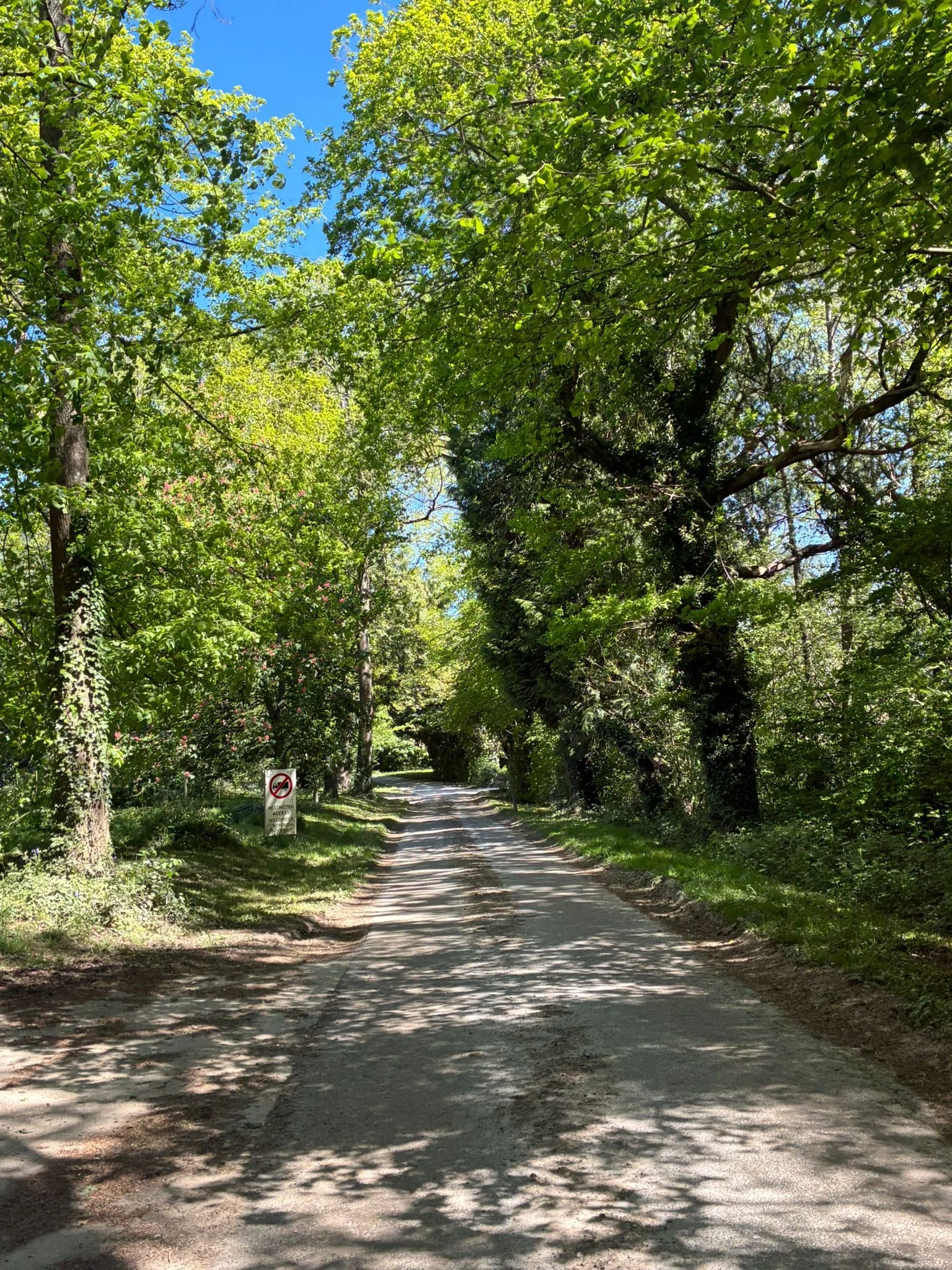 Moonhill drive (2).jpeg