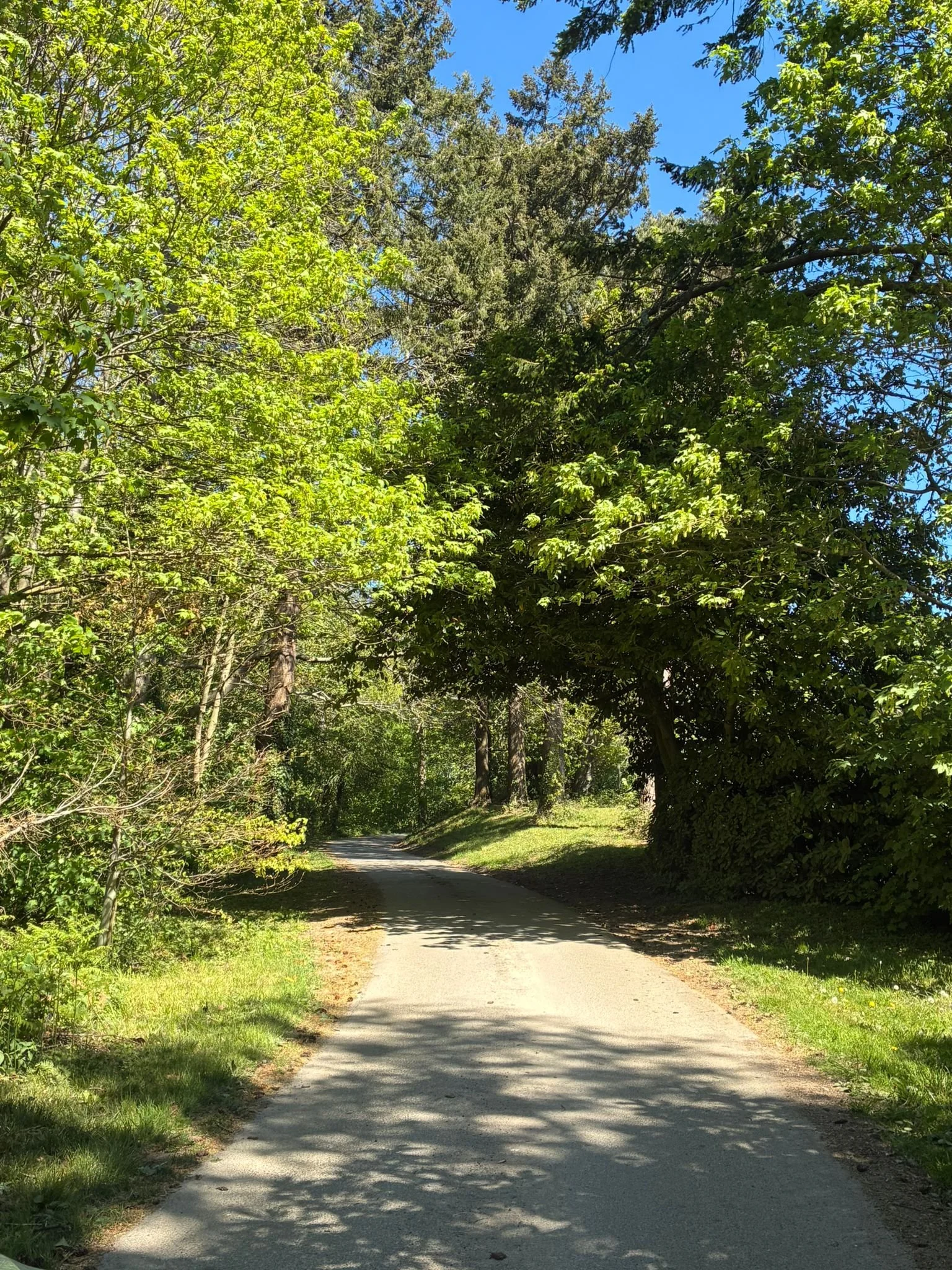 Moonhill drive (7) IG 26.jpeg