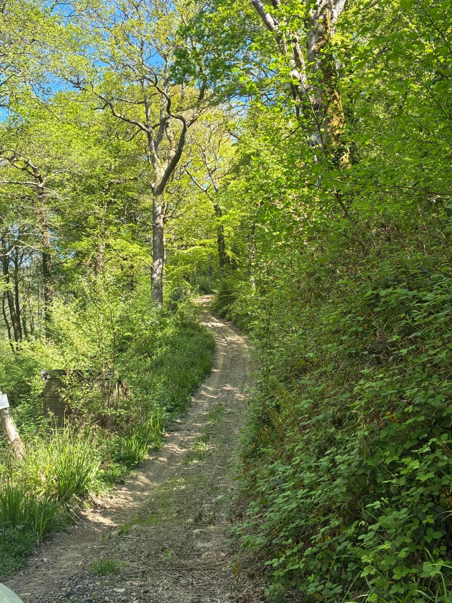 Hanging wood track (2).jpeg