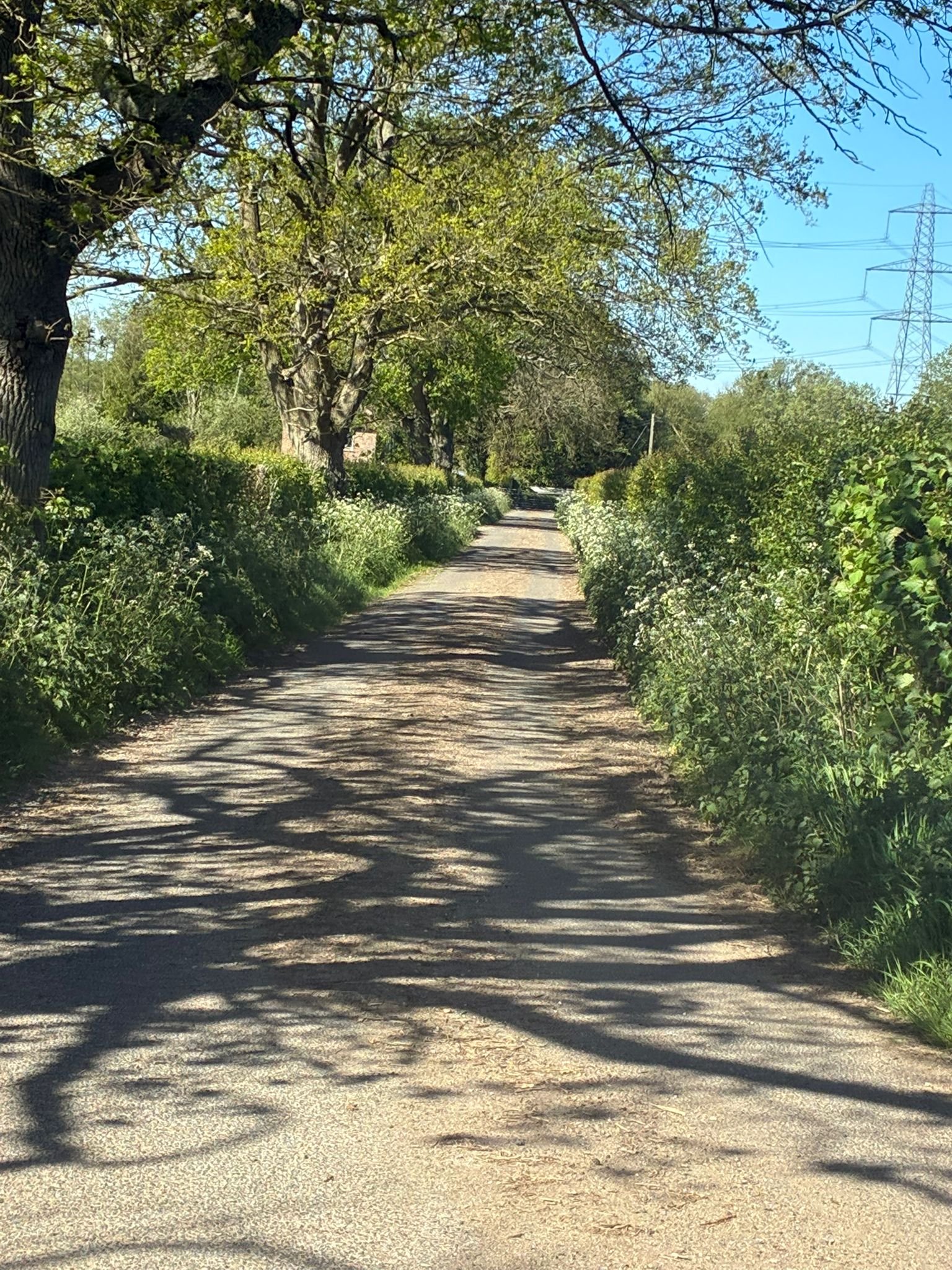 Brooklands towards valewood pond (2).jpeg