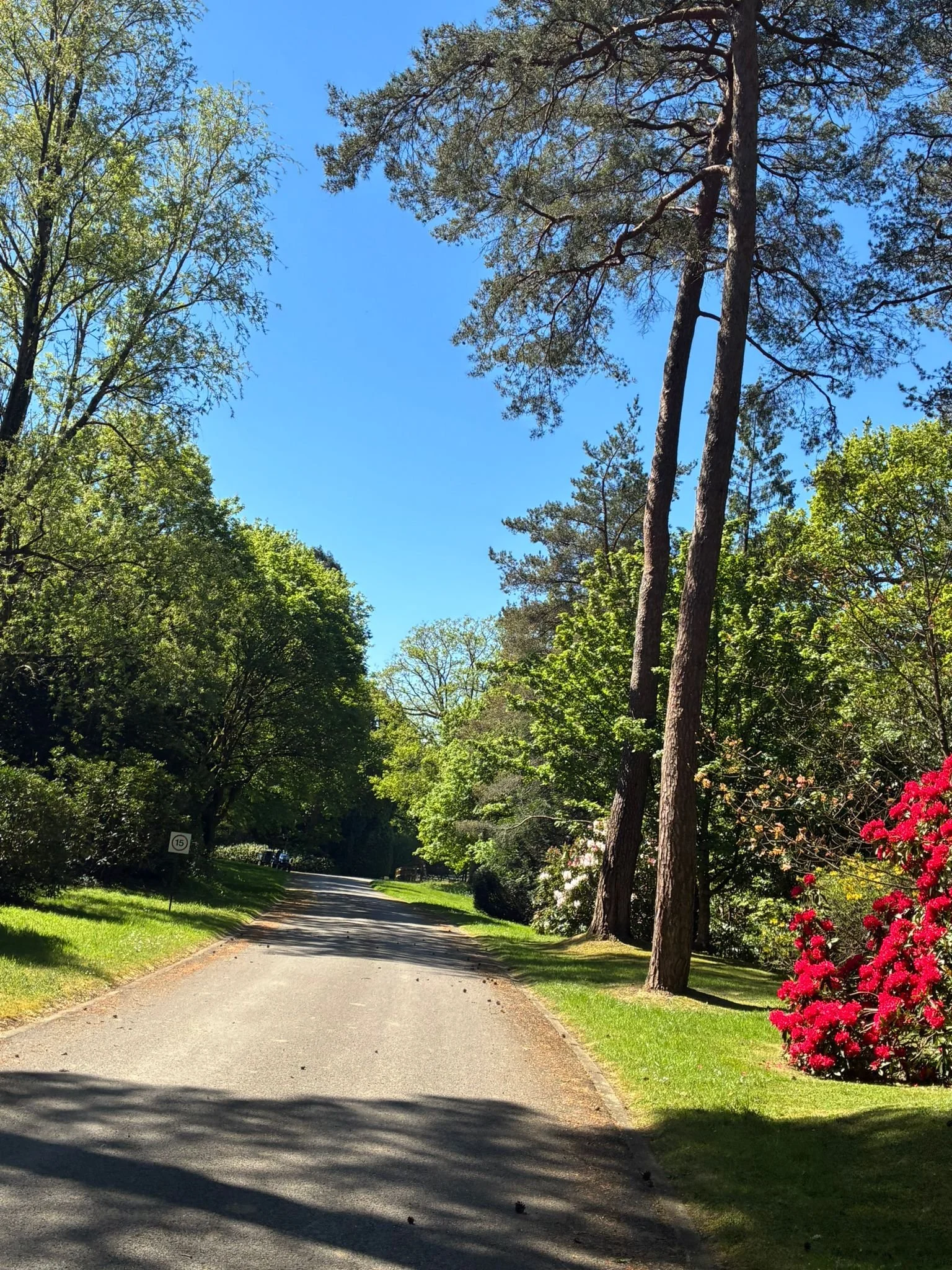 Heaselands Drive (1).jpeg