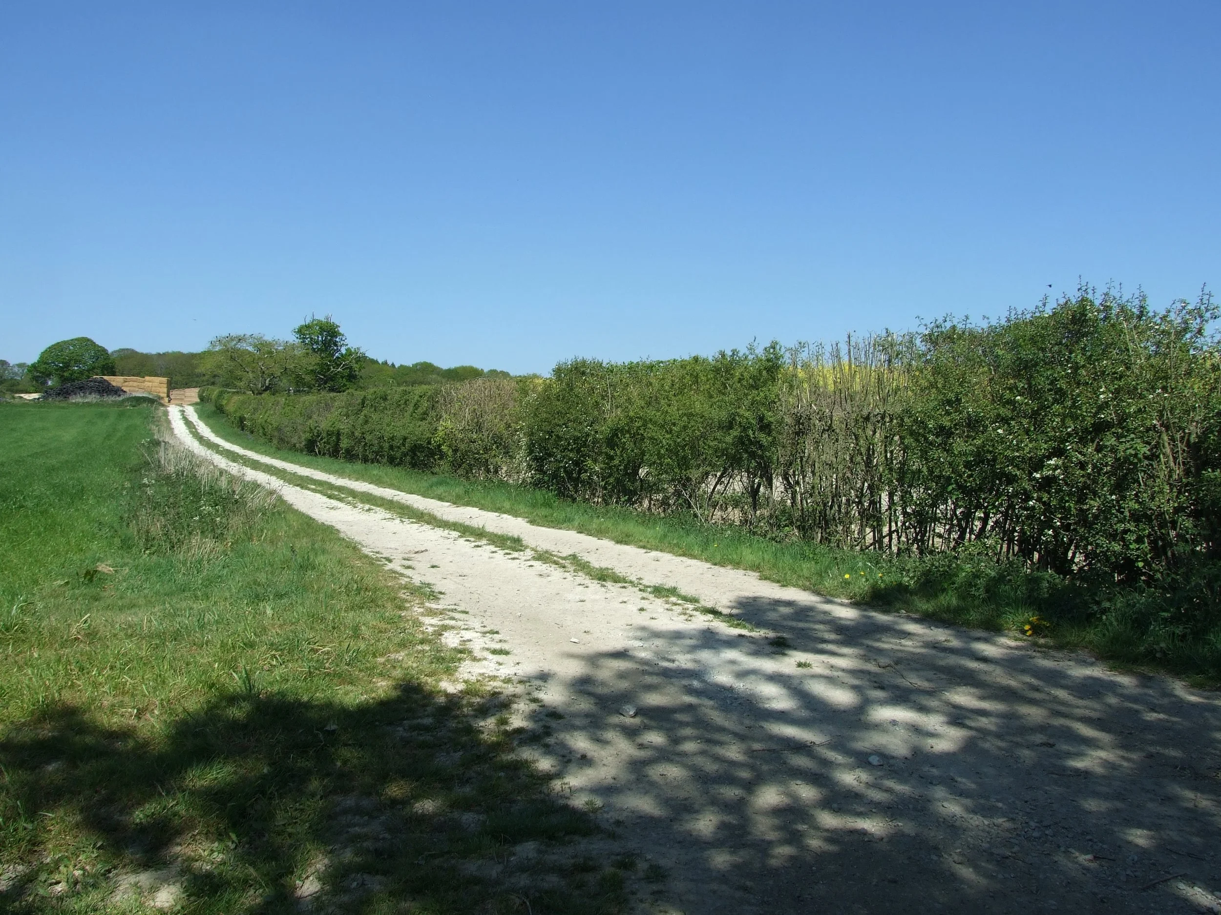 Farm Tracks (7).JPG