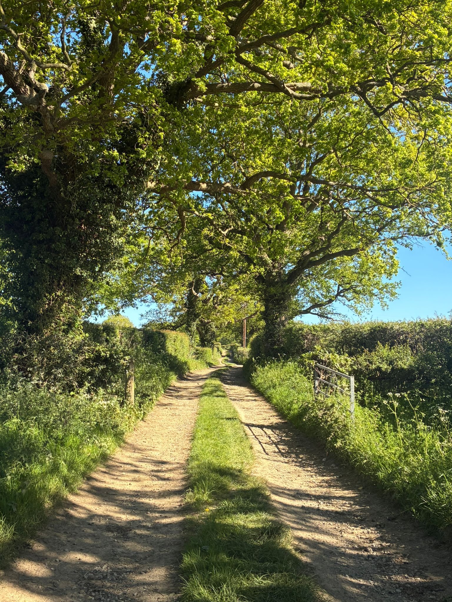 Brooklands to kiln barn track (2).jpeg