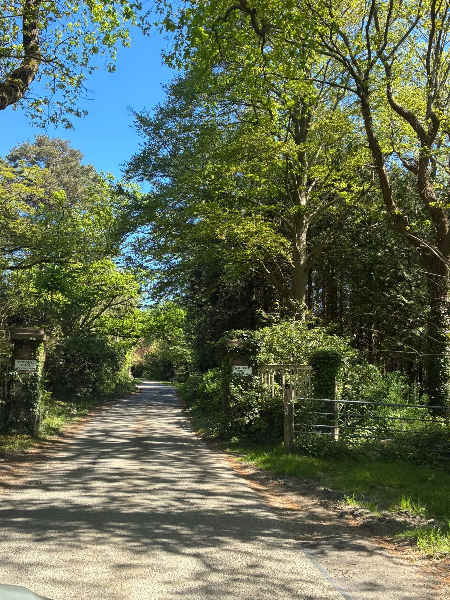 Moonhill drive (1).jpeg