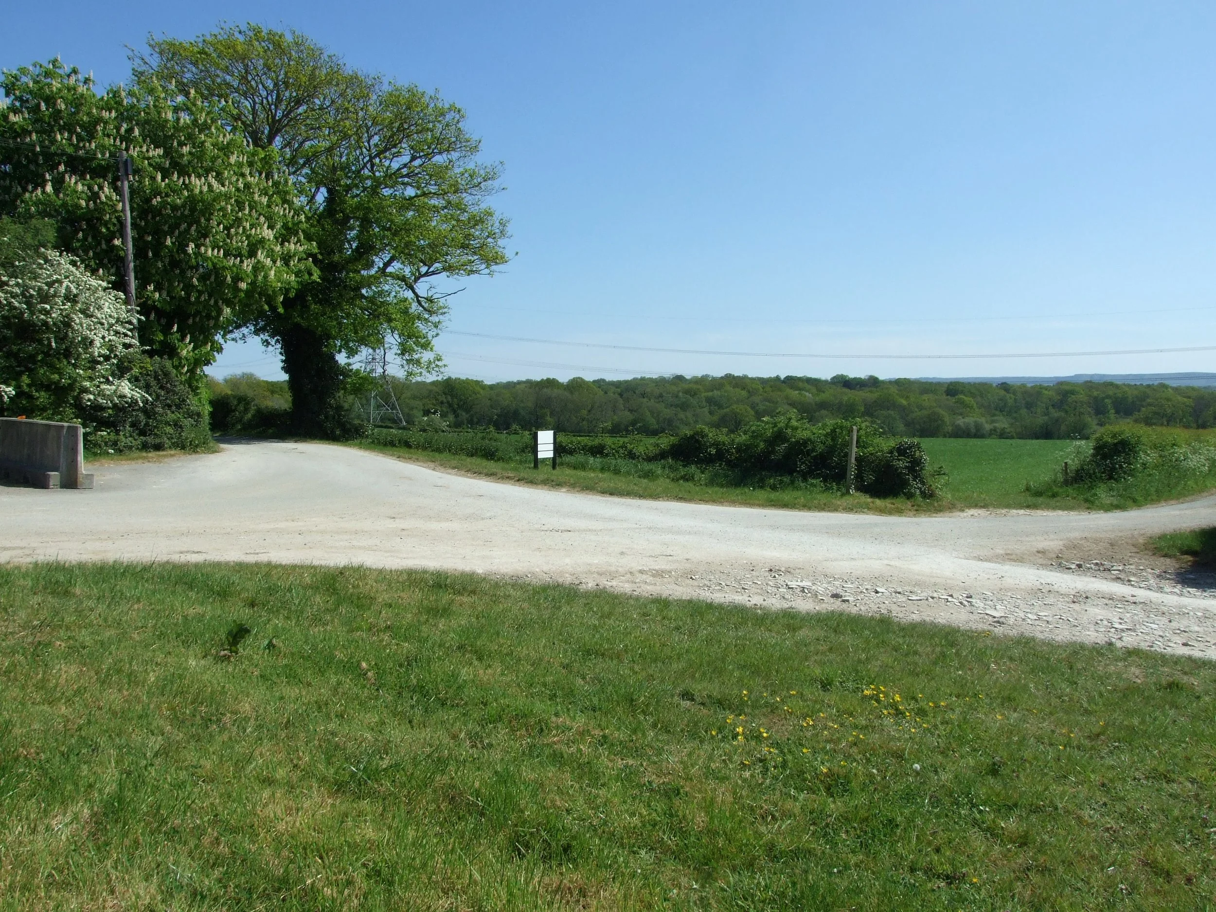 Farm Tracks (10).JPG