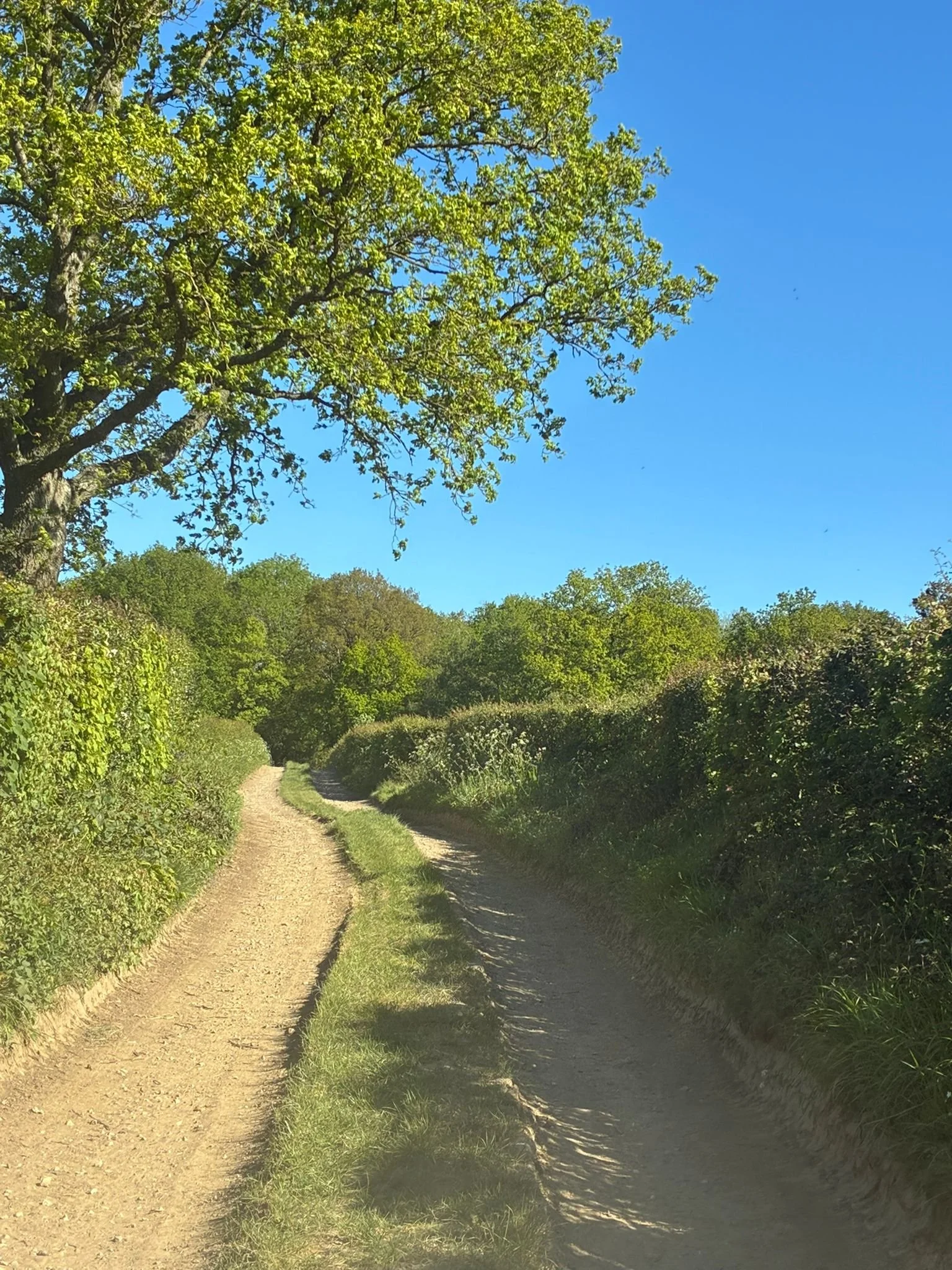Brooklands to kiln barn track (1).jpeg