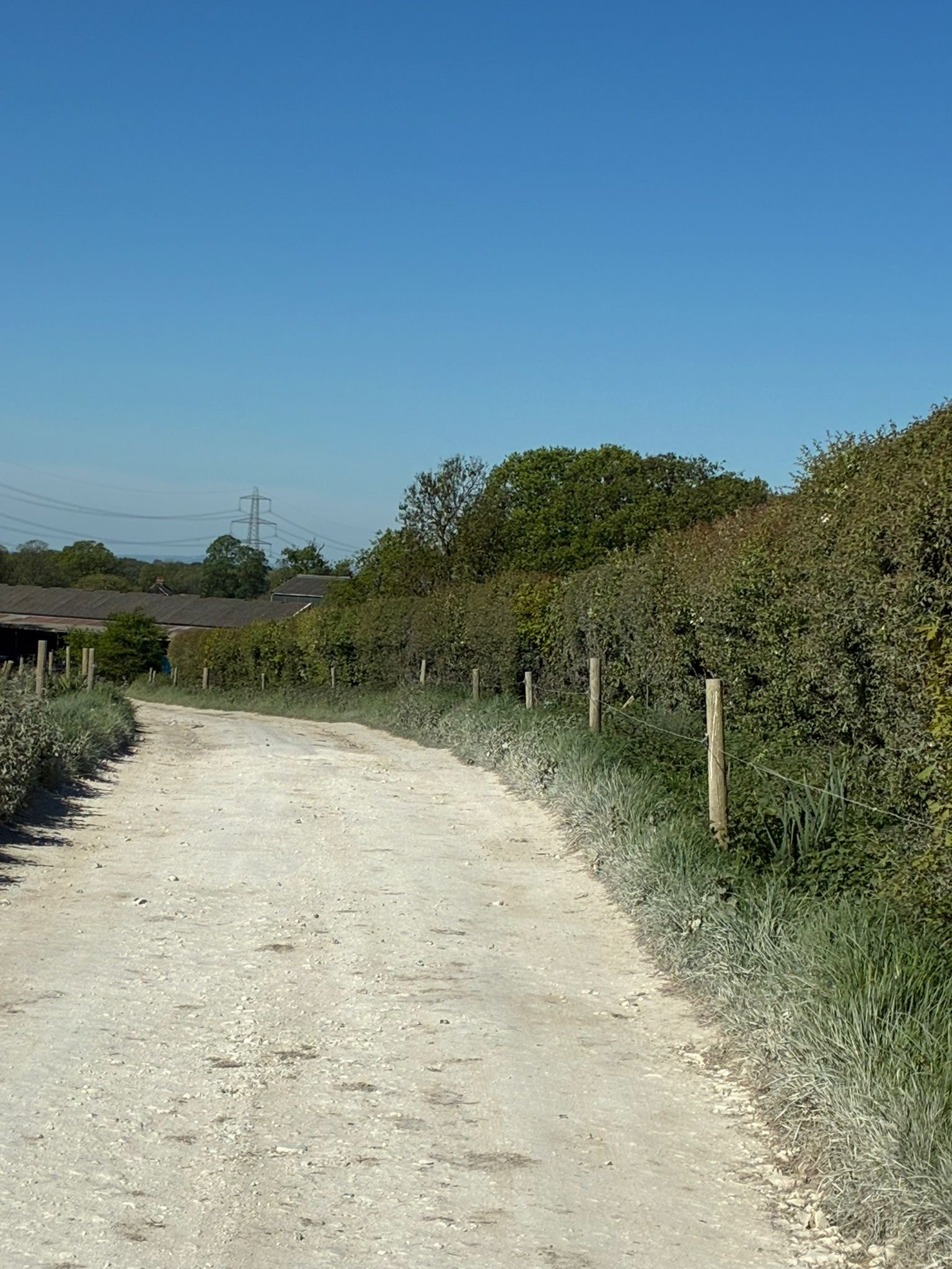 Chalk track from Brooklands to the dairy (2).jpeg