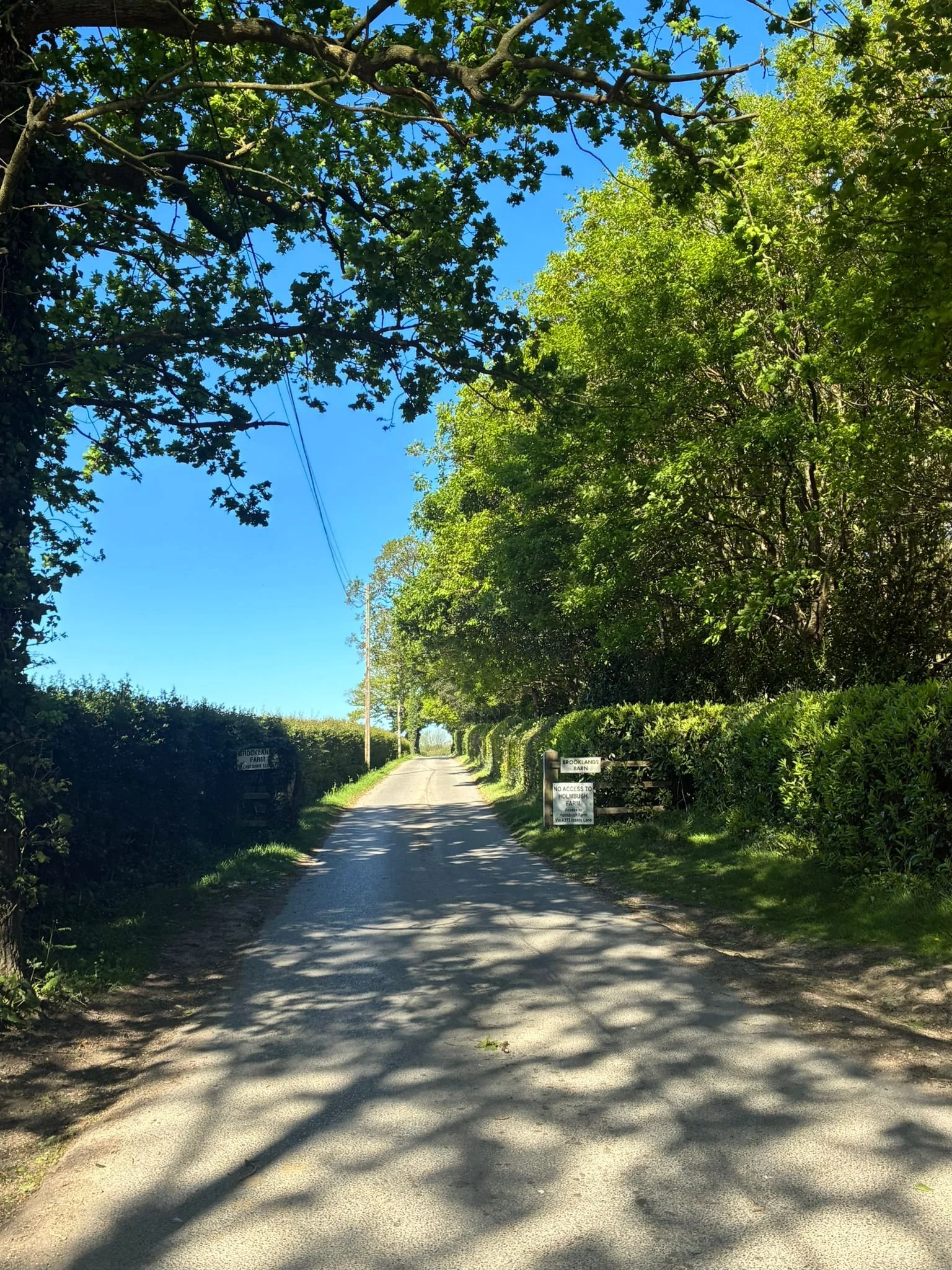 Brooklands entrance drive.jpeg