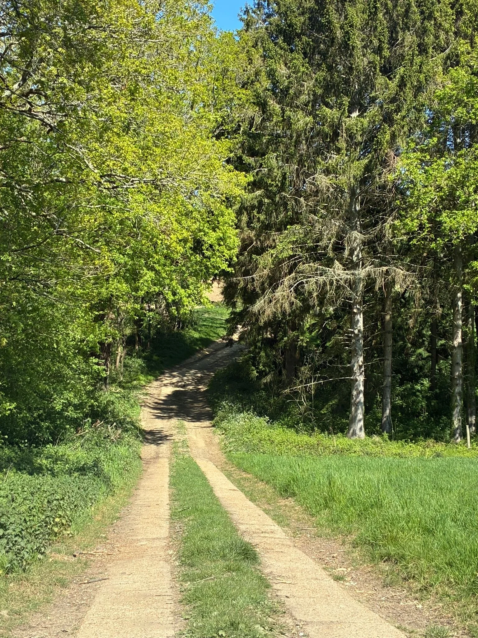 Upper ridges track (3).jpeg