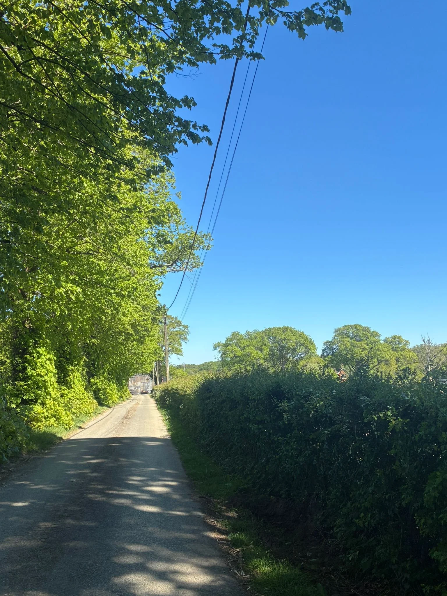 Burchetts Drive.jpeg