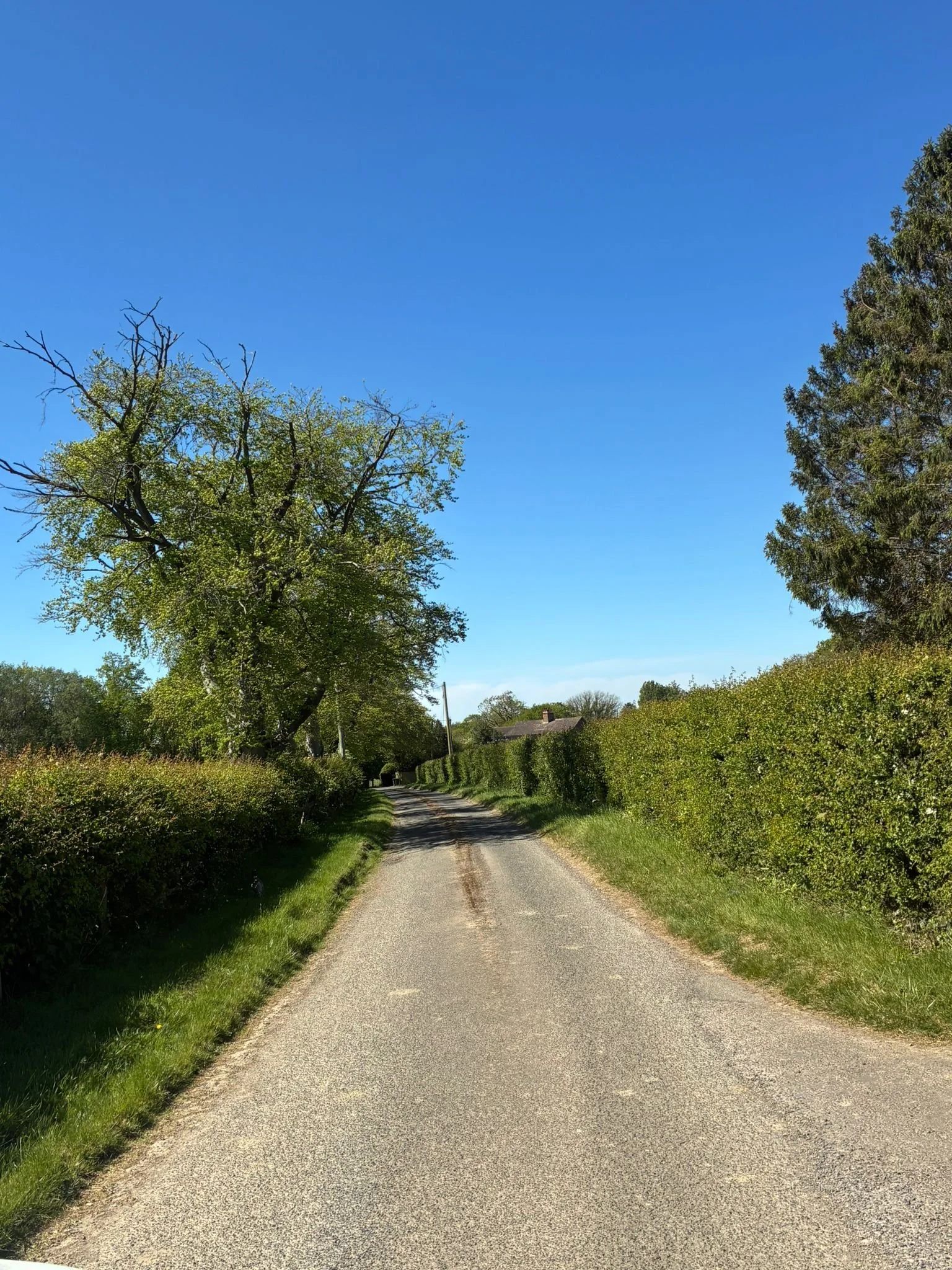 Lyes farm drive (3).jpeg