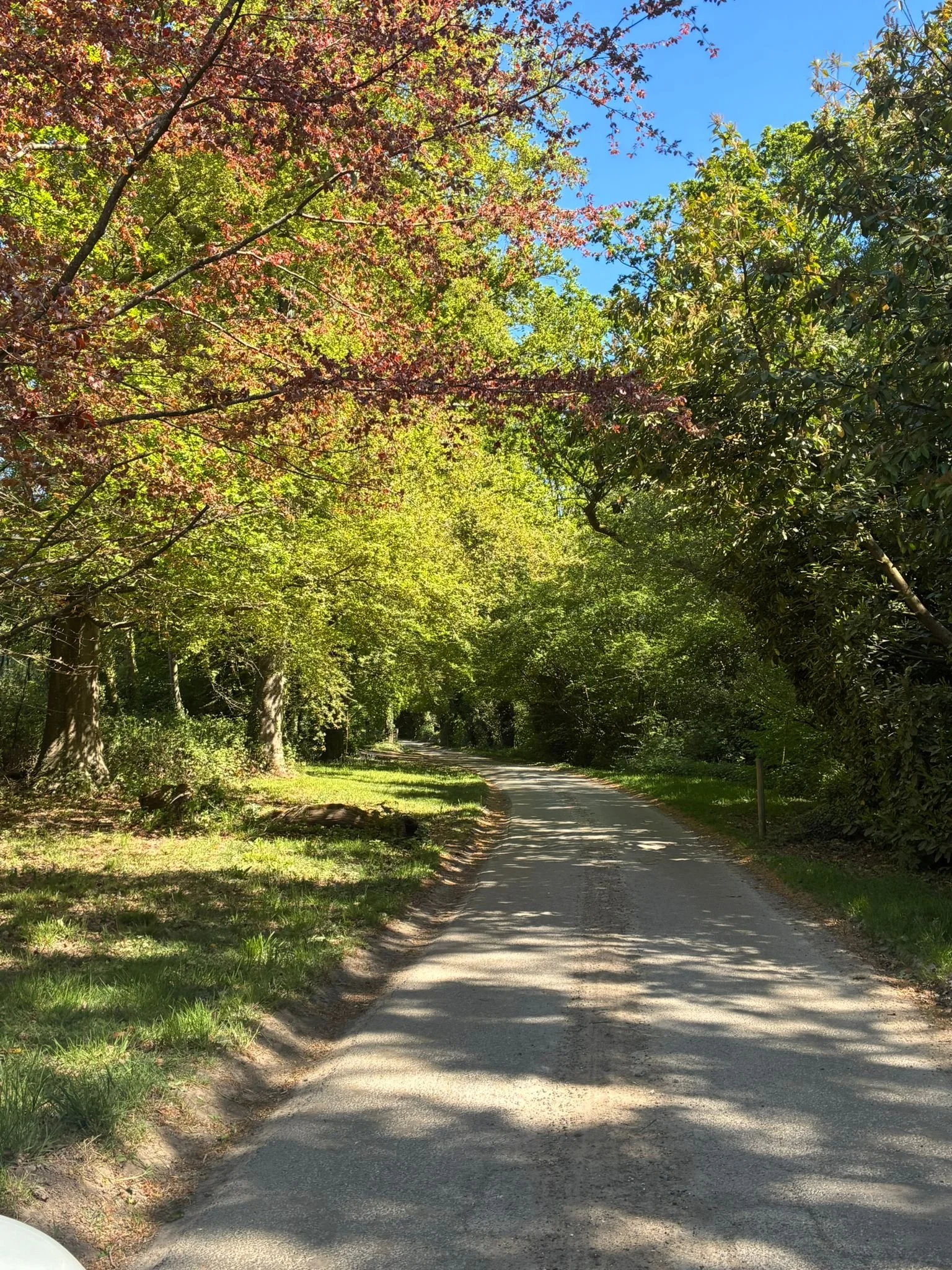 Moonhill drive (3).jpeg