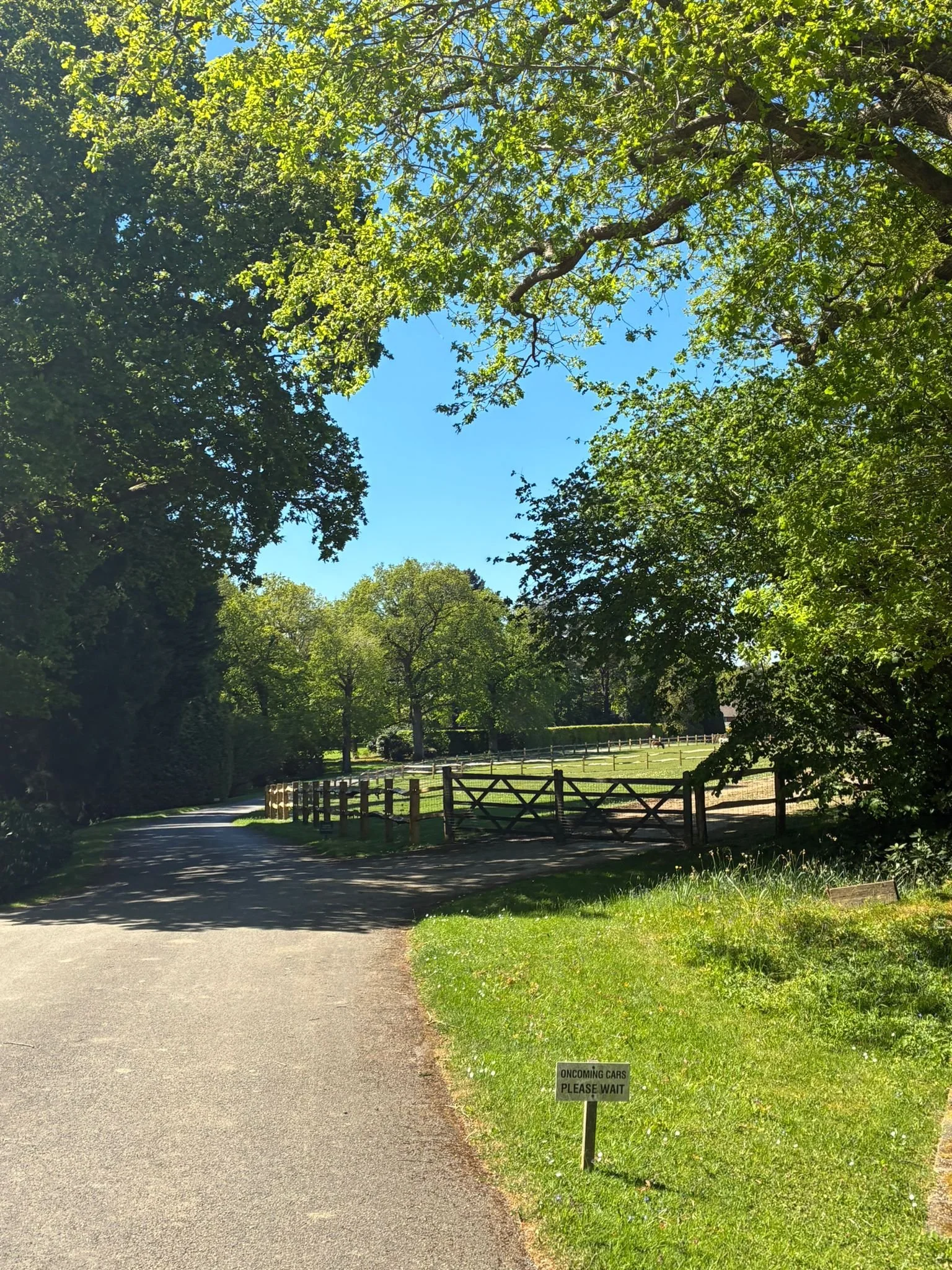 Heaselands Drive (2).jpeg