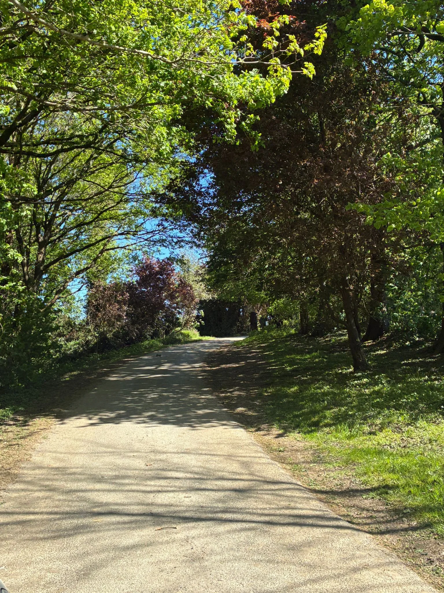 Moonhill drive (4).jpeg