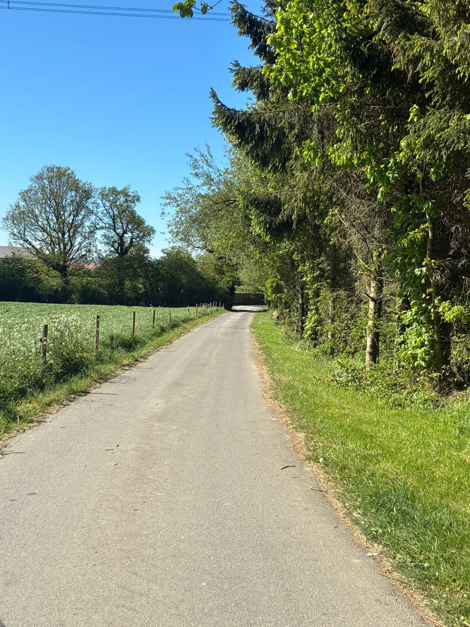 Woodfield drive (1).jpeg