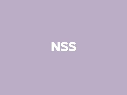 nss_artscircle_homepage_001.jpg