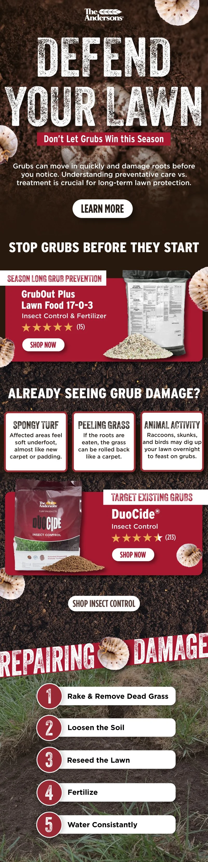Grub-Email-Final.jpg