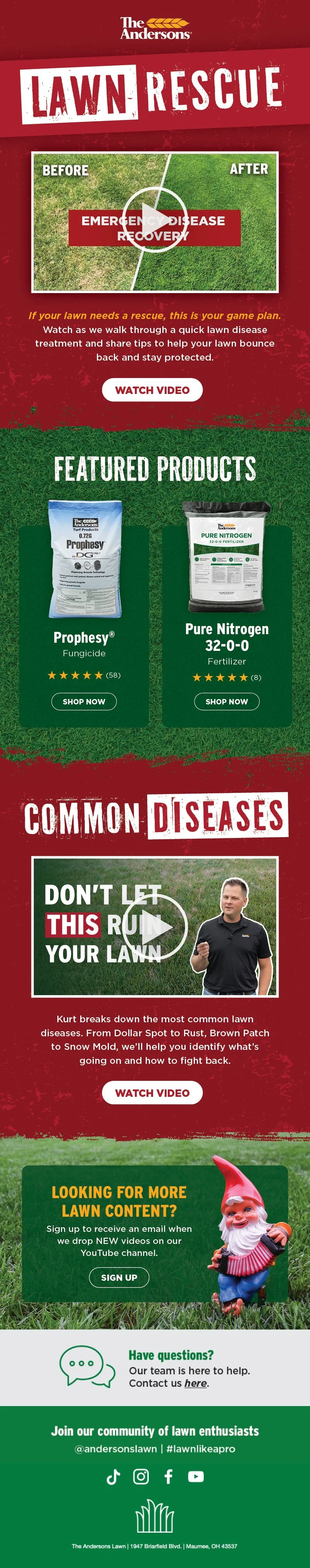 Disease and Prophesy Email.jpg