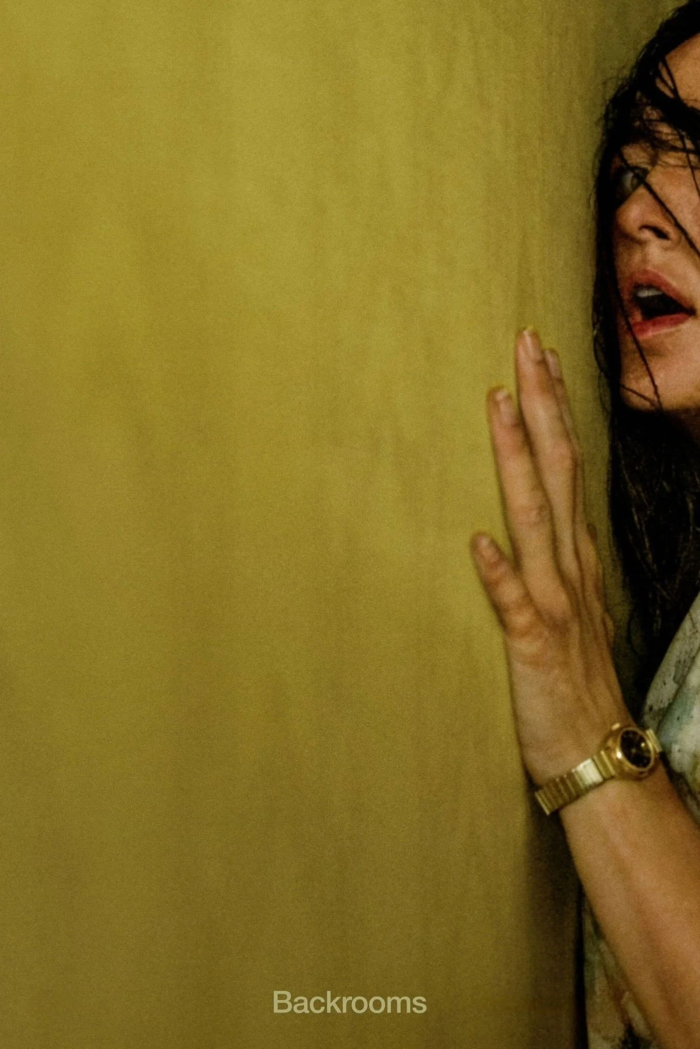 Backrooms — Video Review