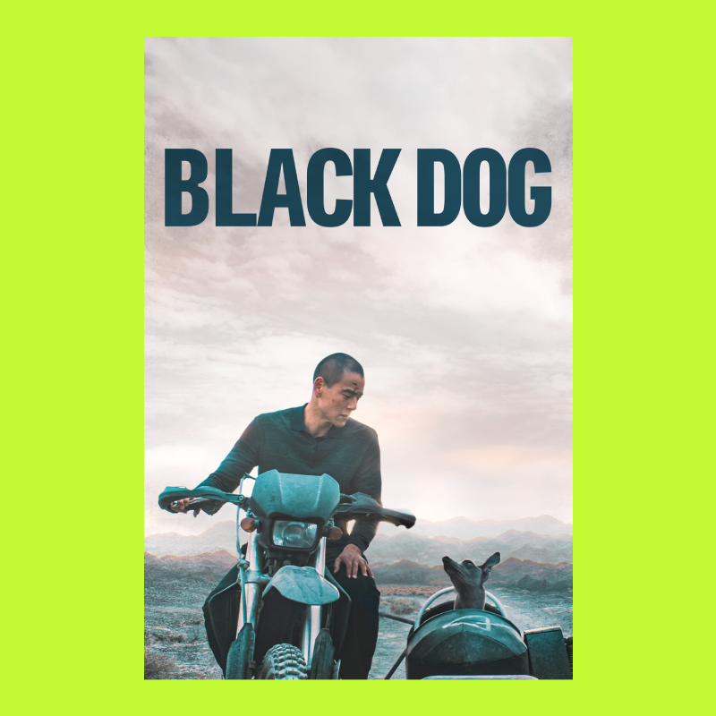 Man on a motorcycle with a dog riding in the sidecar, set outdoors with mountains and a cloudy sky in the background, and the text 'BLACK DOG' at the top.