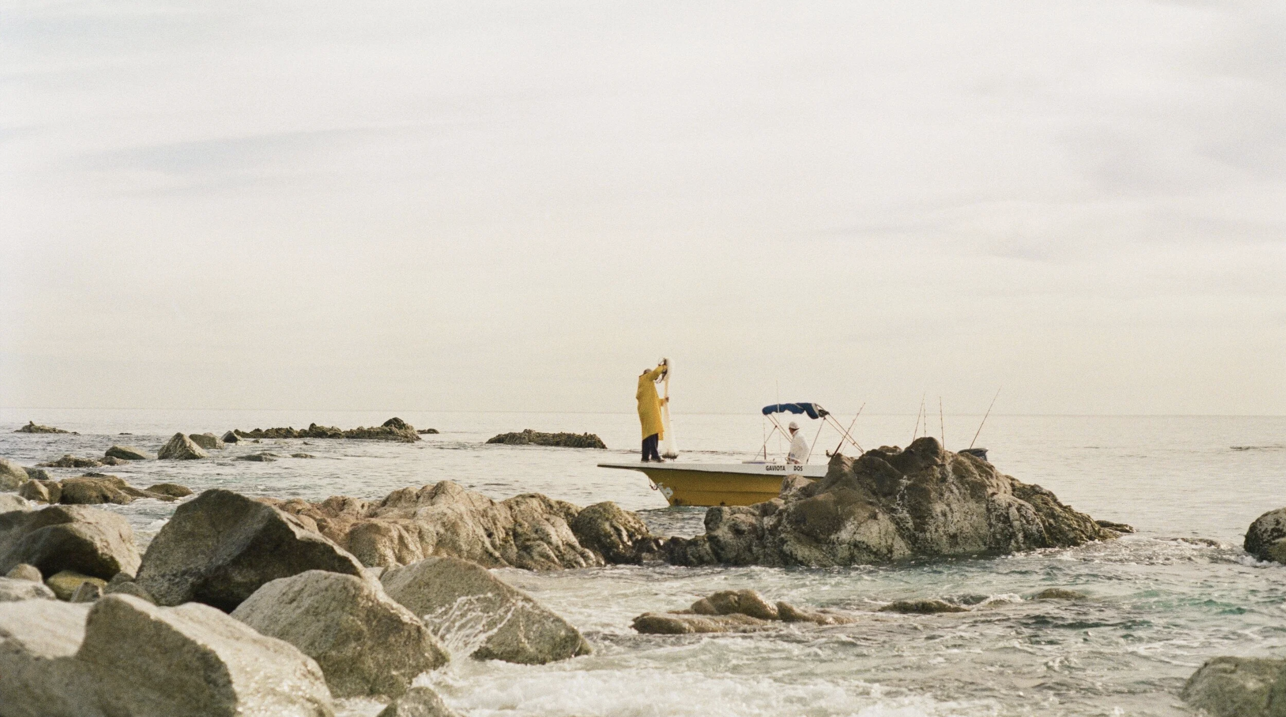 Screenshot 2026-02-12 at 4.04.05 PM.png