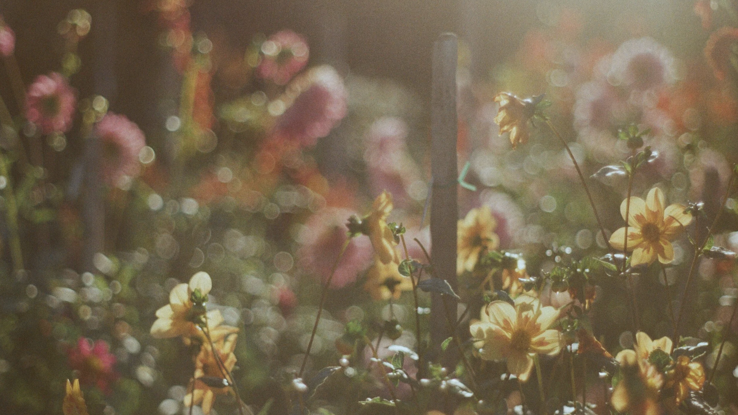 Screenshot 2026-02-12 at 4.04.50 PM.png