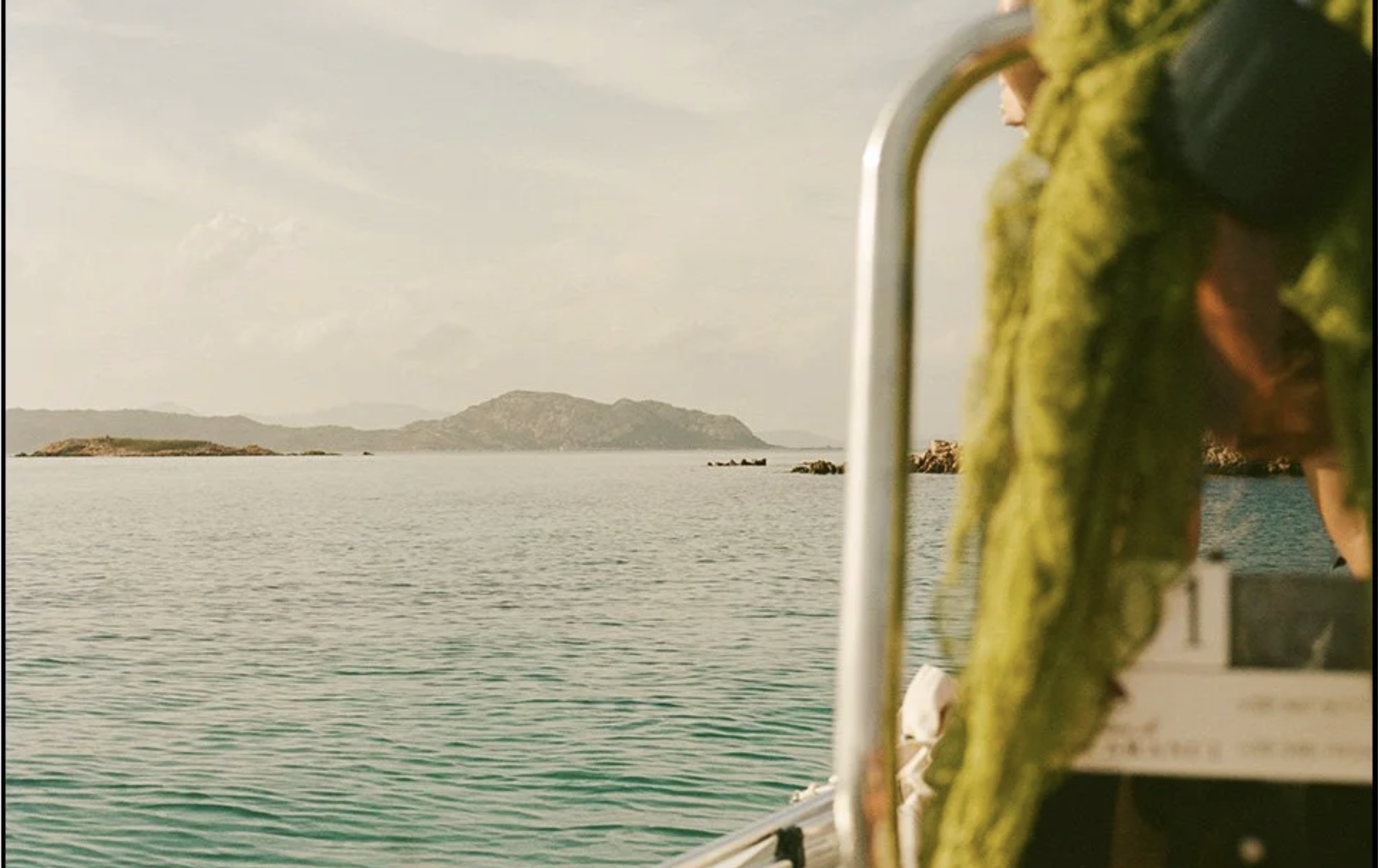 Screenshot 2026-02-12 at 4.03.45 PM.png