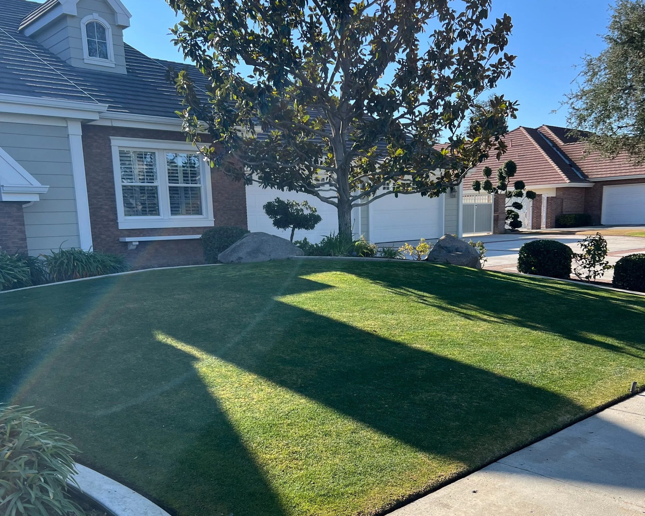 Unlock the Secret to a Stunning Summer Bermuda Lawn!