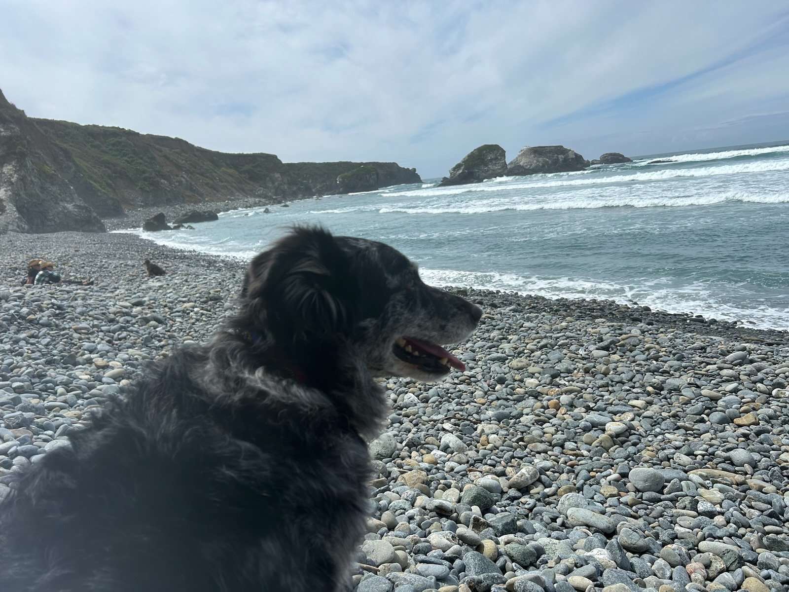 Sunday Beach.jpg