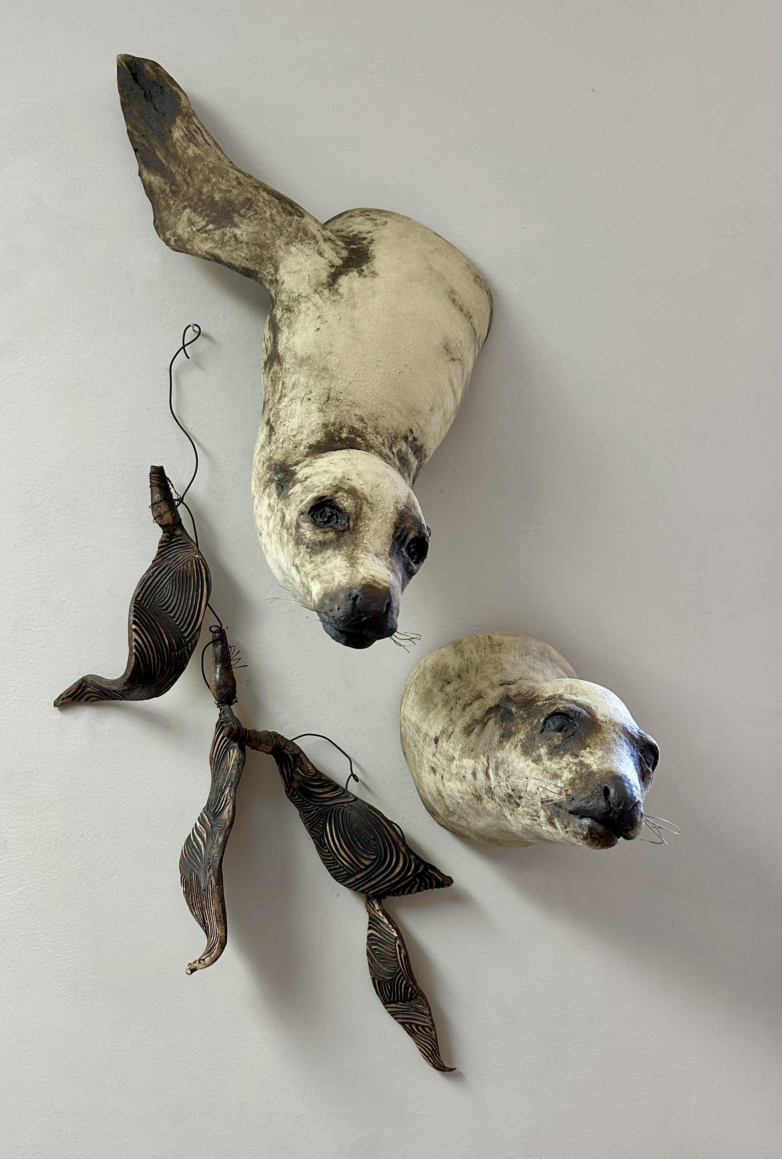 "Curious Sea Lions"