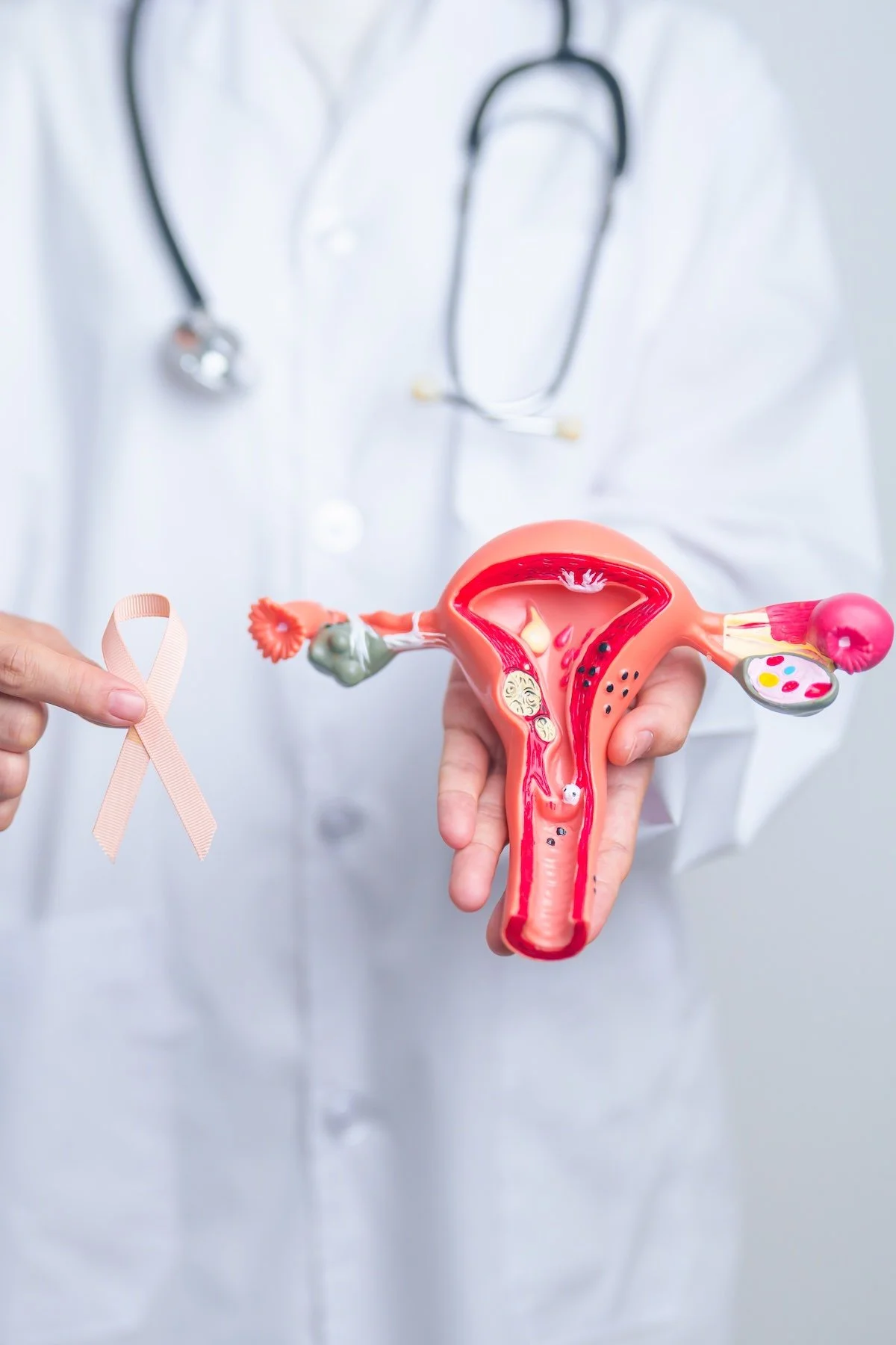 A doctor holding a ribbon and a model of a uterus and ovaries.