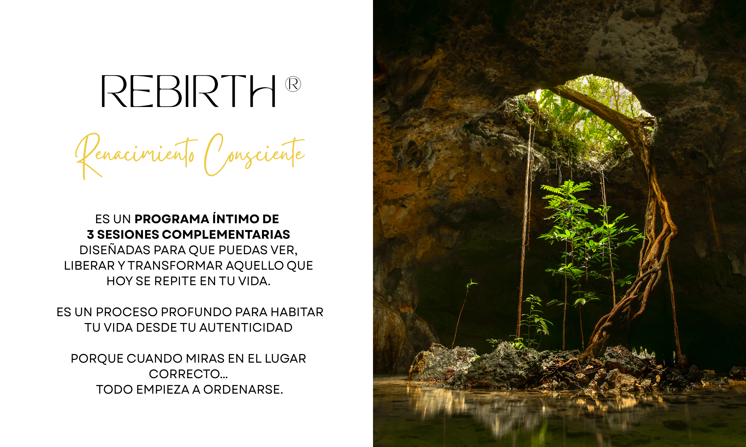 rebirth programa