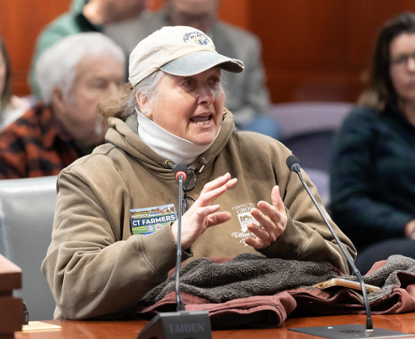 Screenshot 2026-01-21 at 6.07.52 PM.png