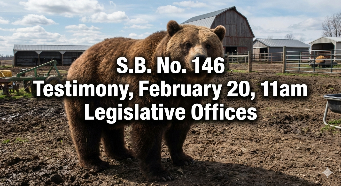 CT Environment Committee Public Hearing