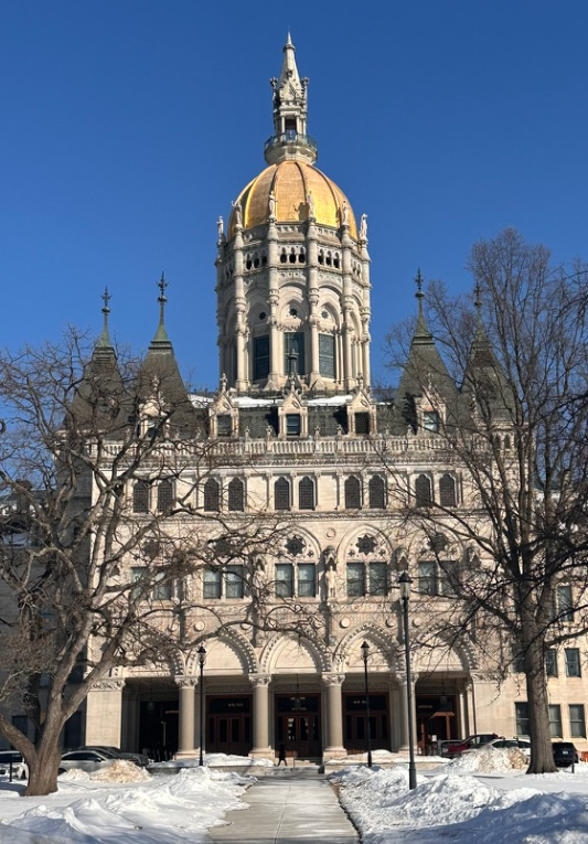 Snowed in, shut out: Senate moves emergency’ bill without hearings