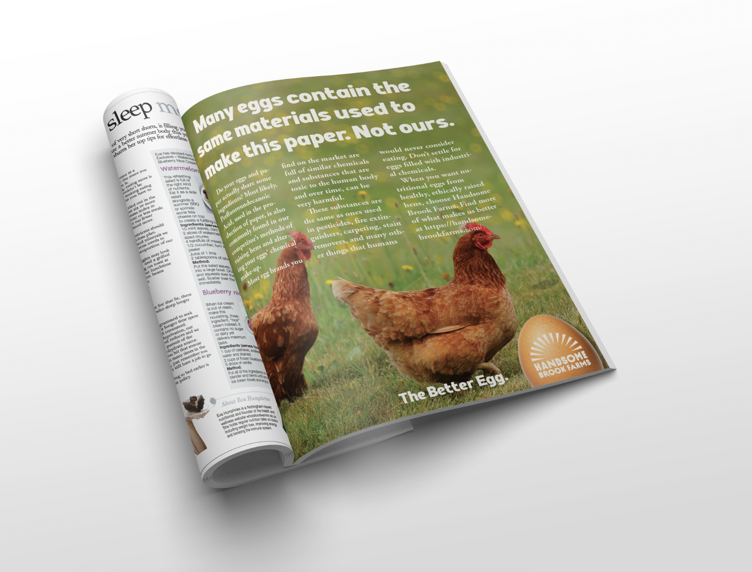 Screen Shot 2025-03-22 at 10.30.12 AM.png