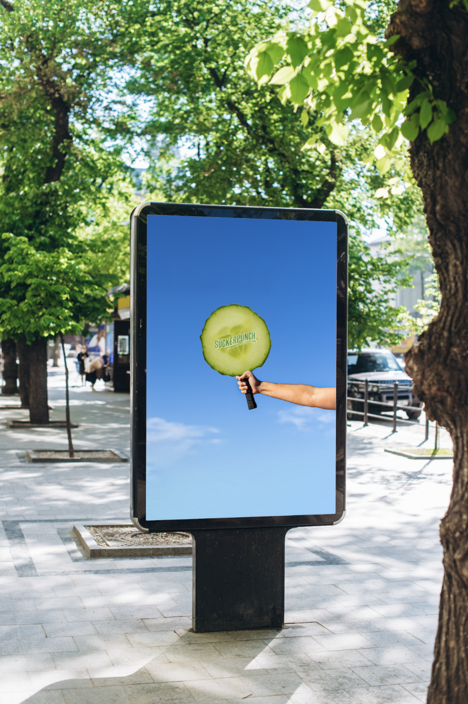 Screen Shot 2025-01-03 at 12.15.10 PM.png