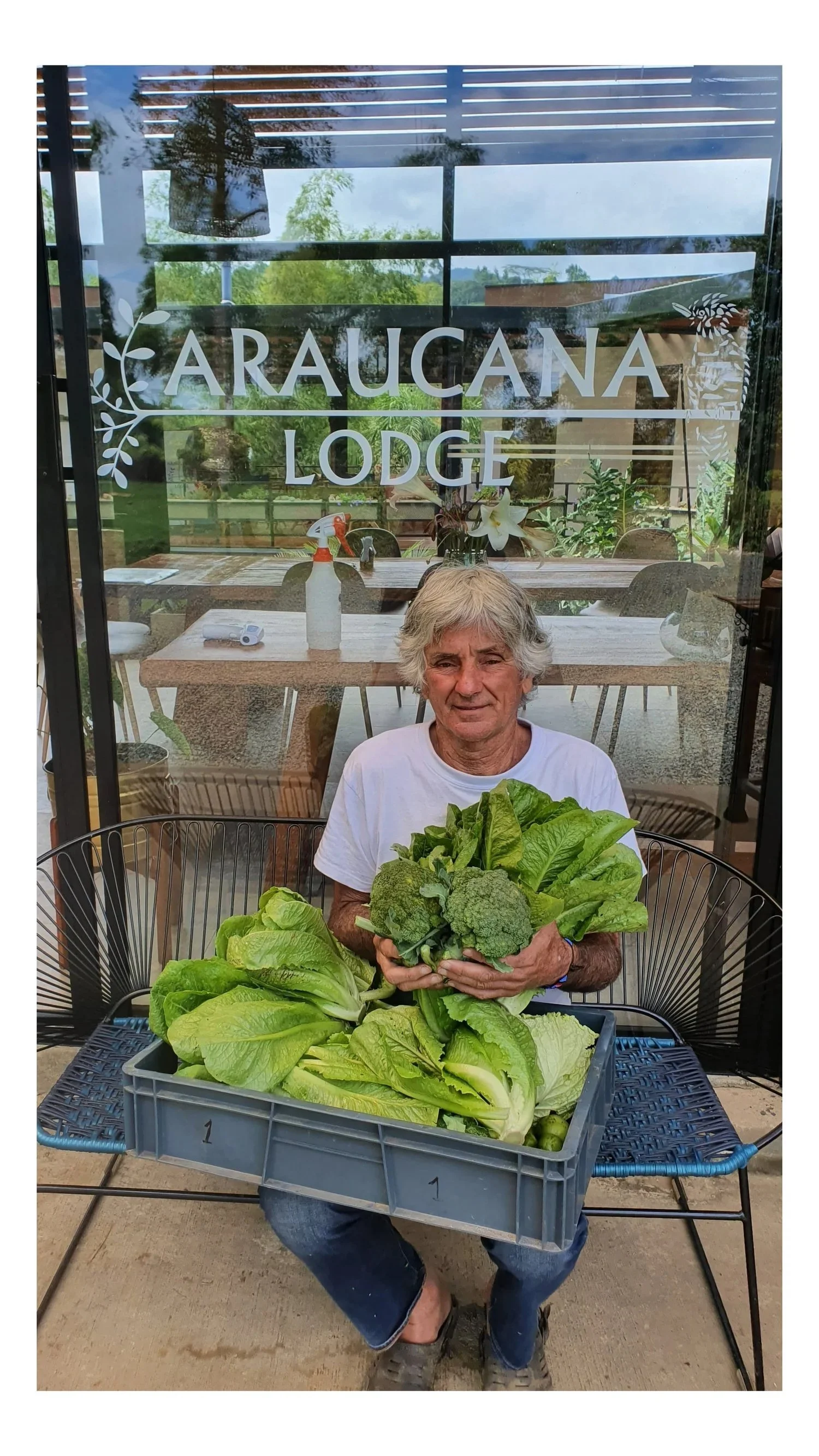 Un hombre sostiene una cosecha de hojas verdes frente al comedor de Araucana Lodge.