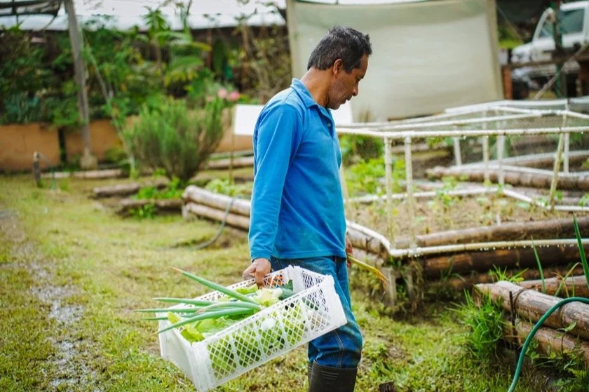 Un integrante del equipo lleva una canasta de verduras recién cosechadas en la huerta de Araucana Lodge.