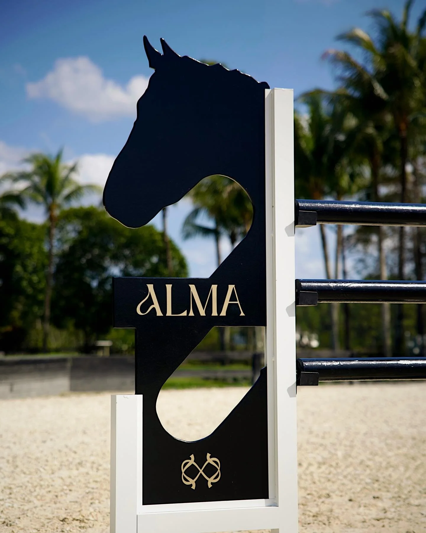 Alma, our little corner of peace and ponies 🙏🤍🦄

#wellington #showjumping #horselife #wellingtonbarn #horseboarding