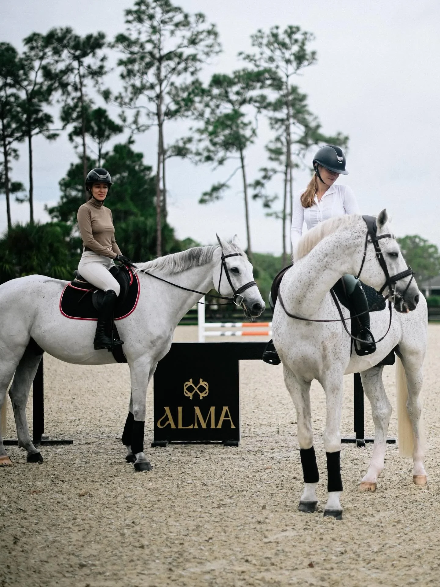 Alma isn&rsquo;t just a barn &mdash; it&rsquo;s a feeling.

✨ Where horses are honored, riders lift each other up, and every detail is rooted in love and excellence.
From sunrise rides to sunset laughs with the girls and grooms, there&rsquo;s real ma